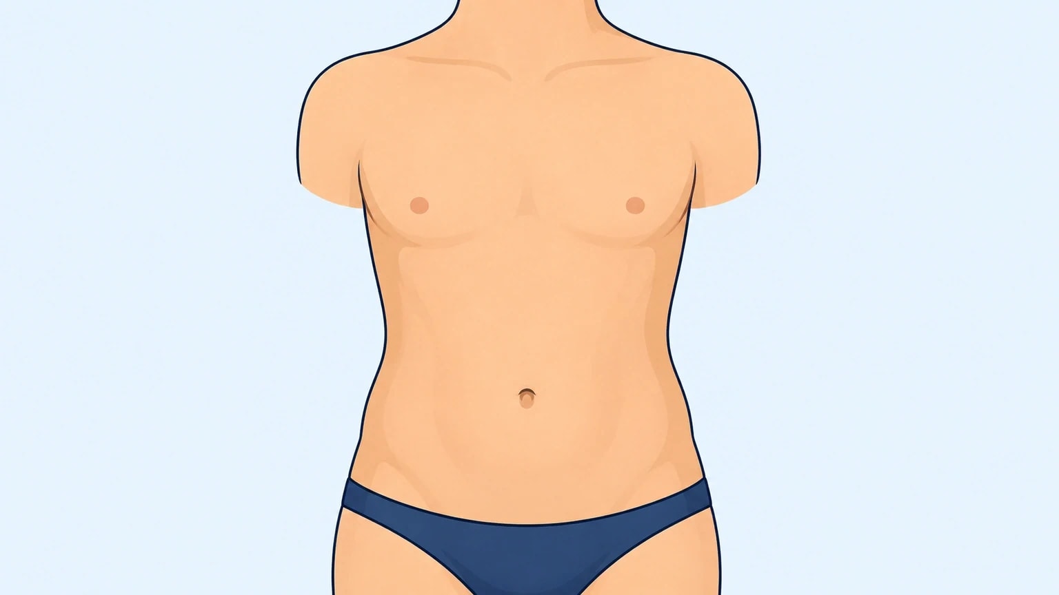 Minh họa torso